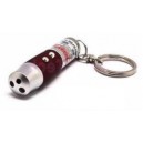 Usher's Flashlight / Laser Pointer